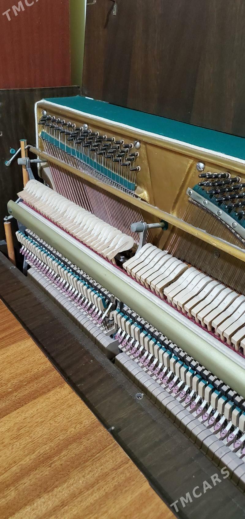 Pianino - Mary - img 5