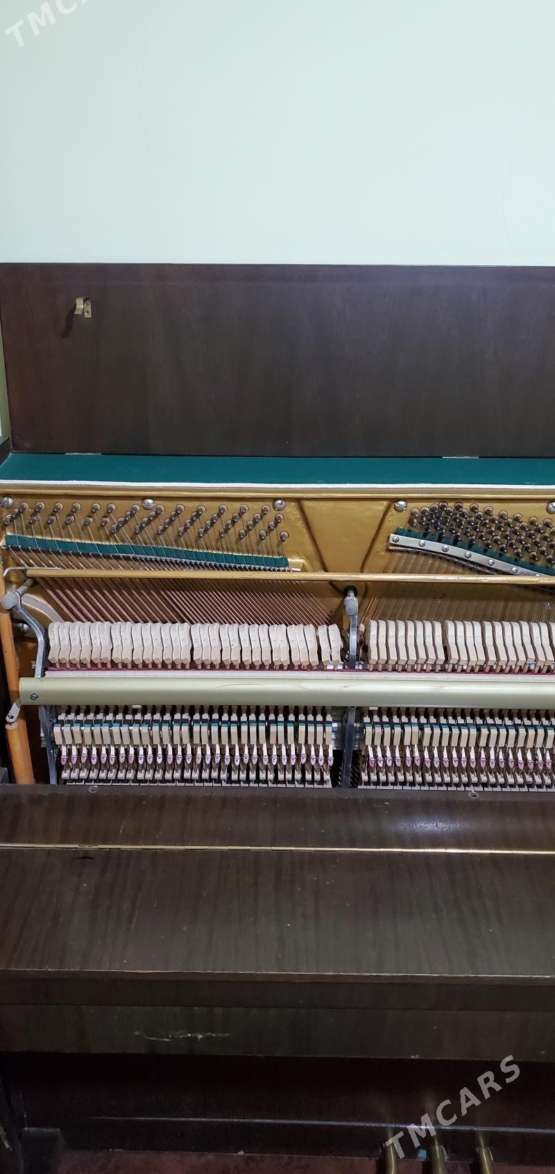 Pianino - Mary - img 4