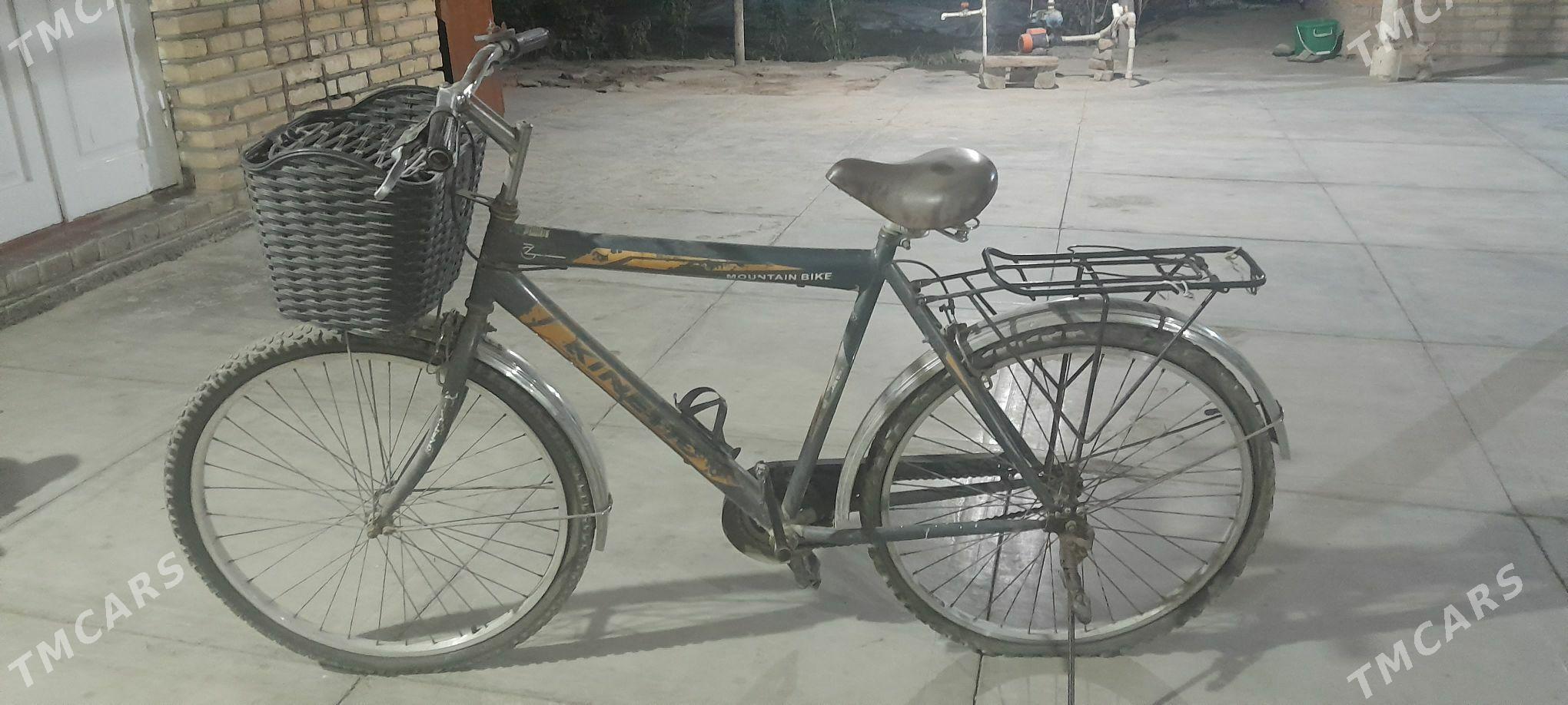 WELOSIPED. - Mary - img 2