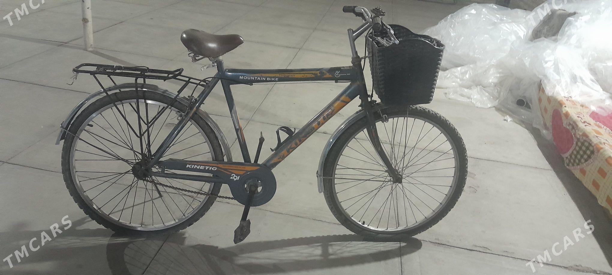 WELOSIPED. - Mary - img 1