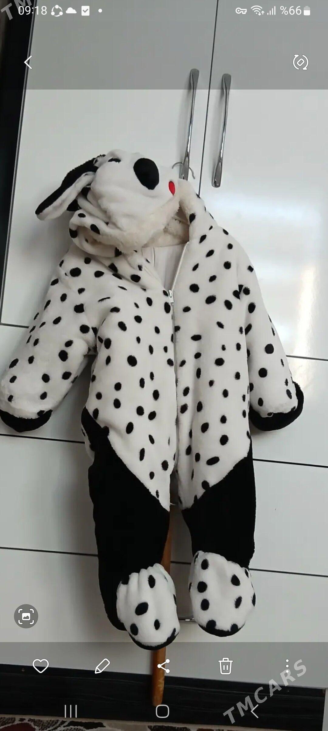 caga kambinzon - Ашхабад - img 2