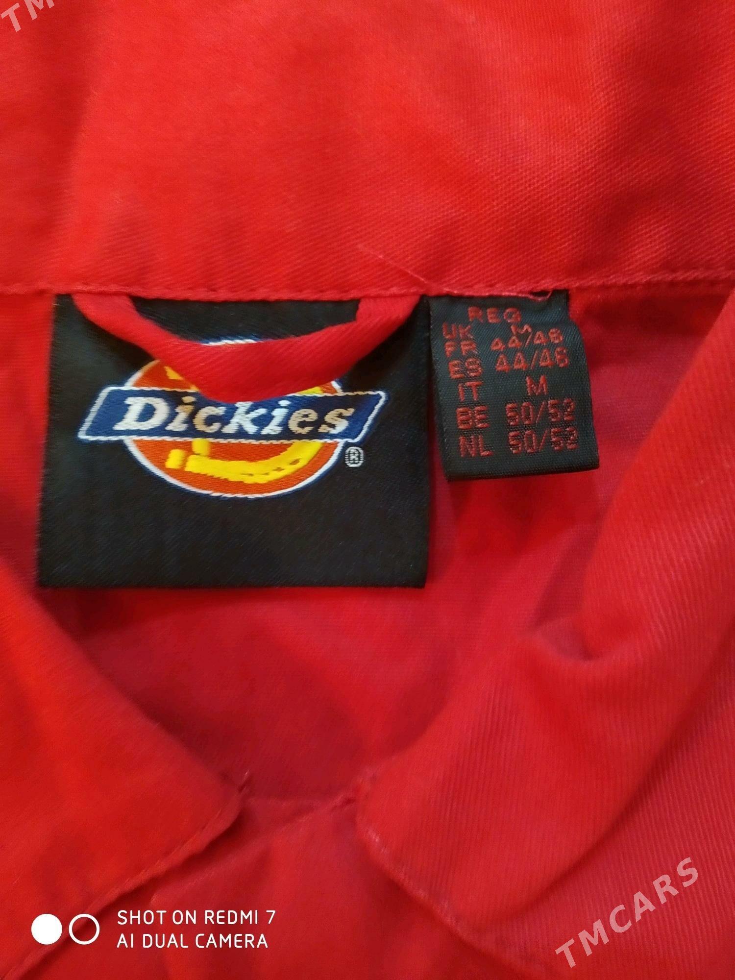 Yuka spisofka - Туркменбаши - img 1