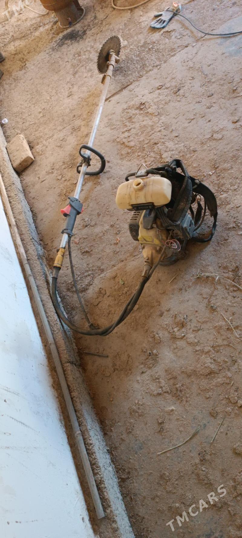 ot mator - Туркменгала - img 2