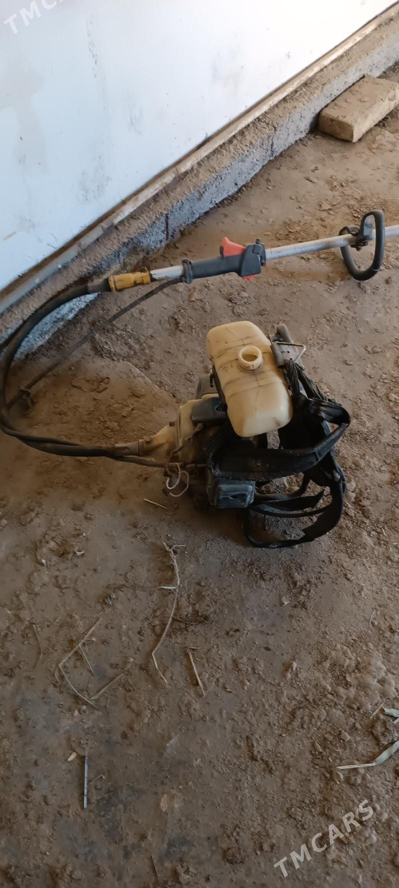 ot mator - Туркменгала - img 1