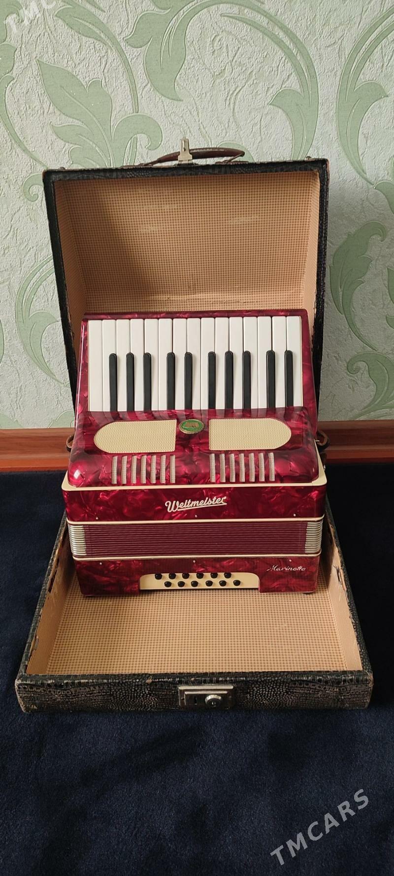 Akkordeon akardiyon garmon - Murgap - img 2