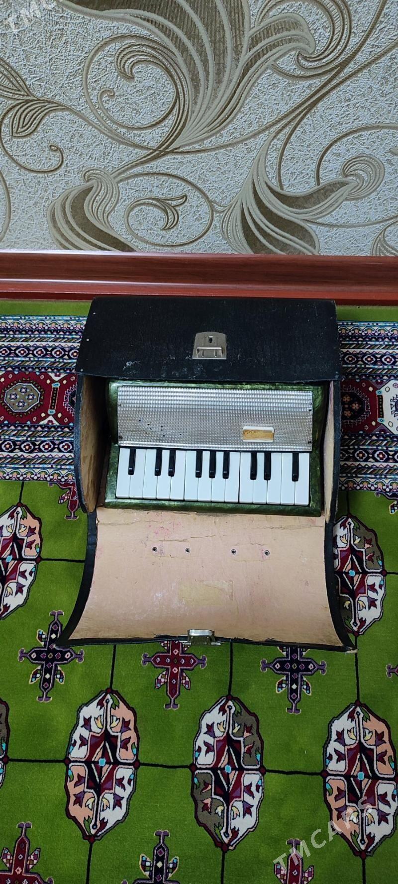 Akkordeon akardiyon garmon - Murgap - img 3