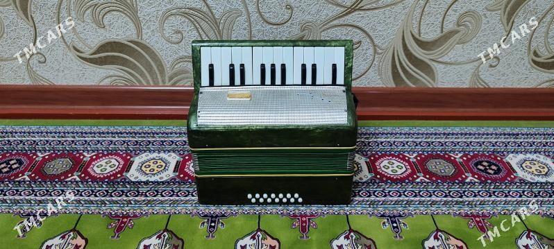 Akkordeon akardiyon garmon - Murgap - img 6