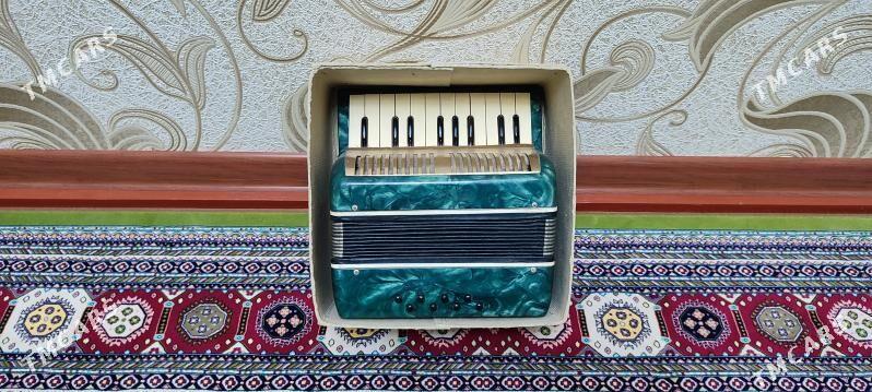 Akkordeon akardiyon garmon - Murgap - img 4