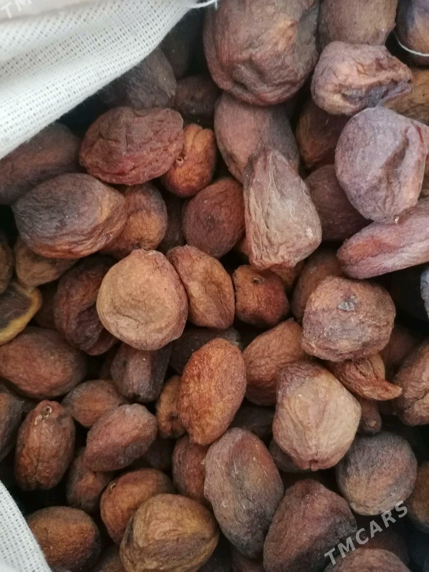 Golum sahar - Sakar - img 1