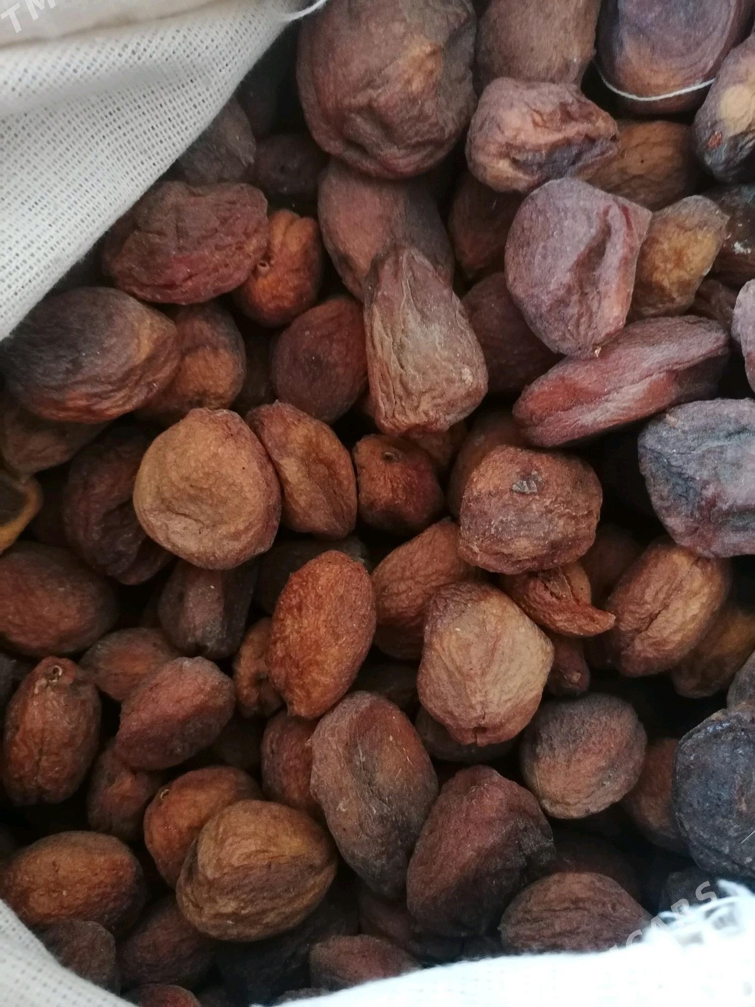 Golum sahar - Sakar - img 2