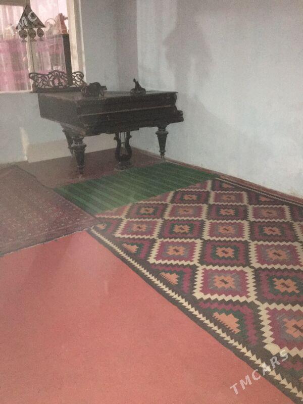 satlyk jay kaka - Kaka - img 4