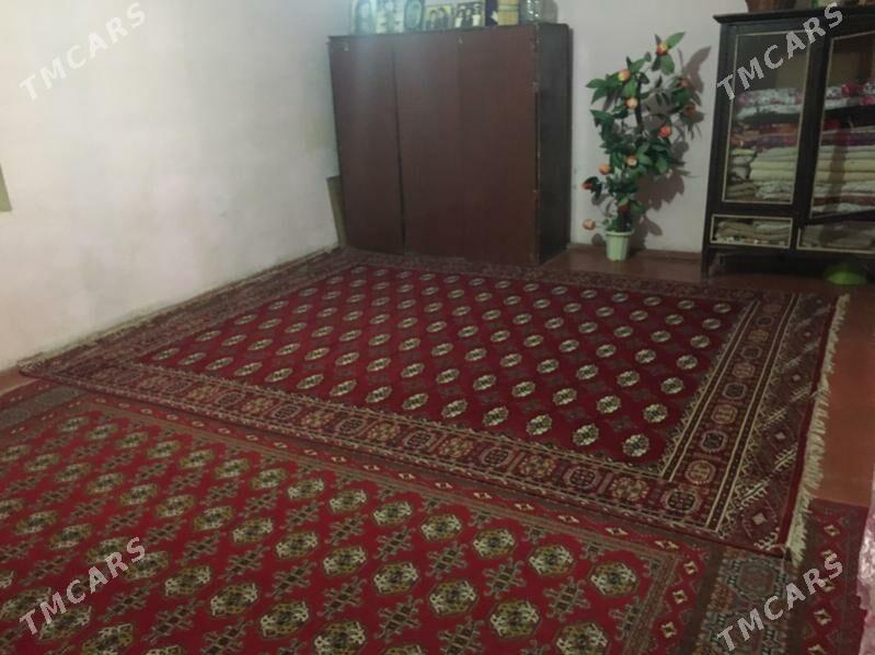 satlyk jay kaka - Kaka - img 3