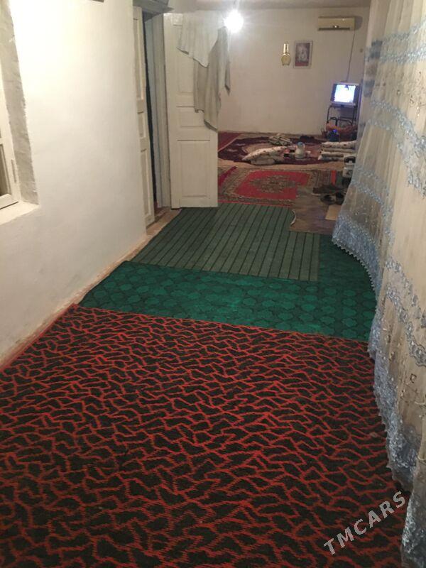 satlyk jay kaka - Kaka - img 1