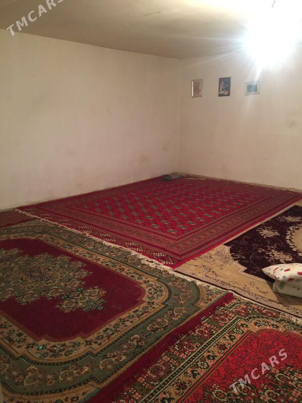 satlyk jay kaka - Kaka - img 5