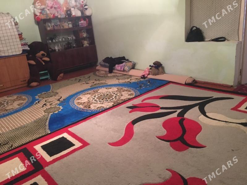 satlyk jay kaka - Kaka - img 2