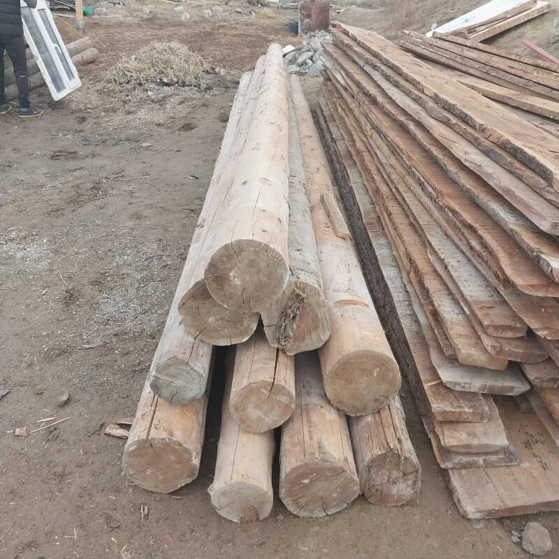 POLLYK AGAÇ ALYAS - Garadamak - img 2