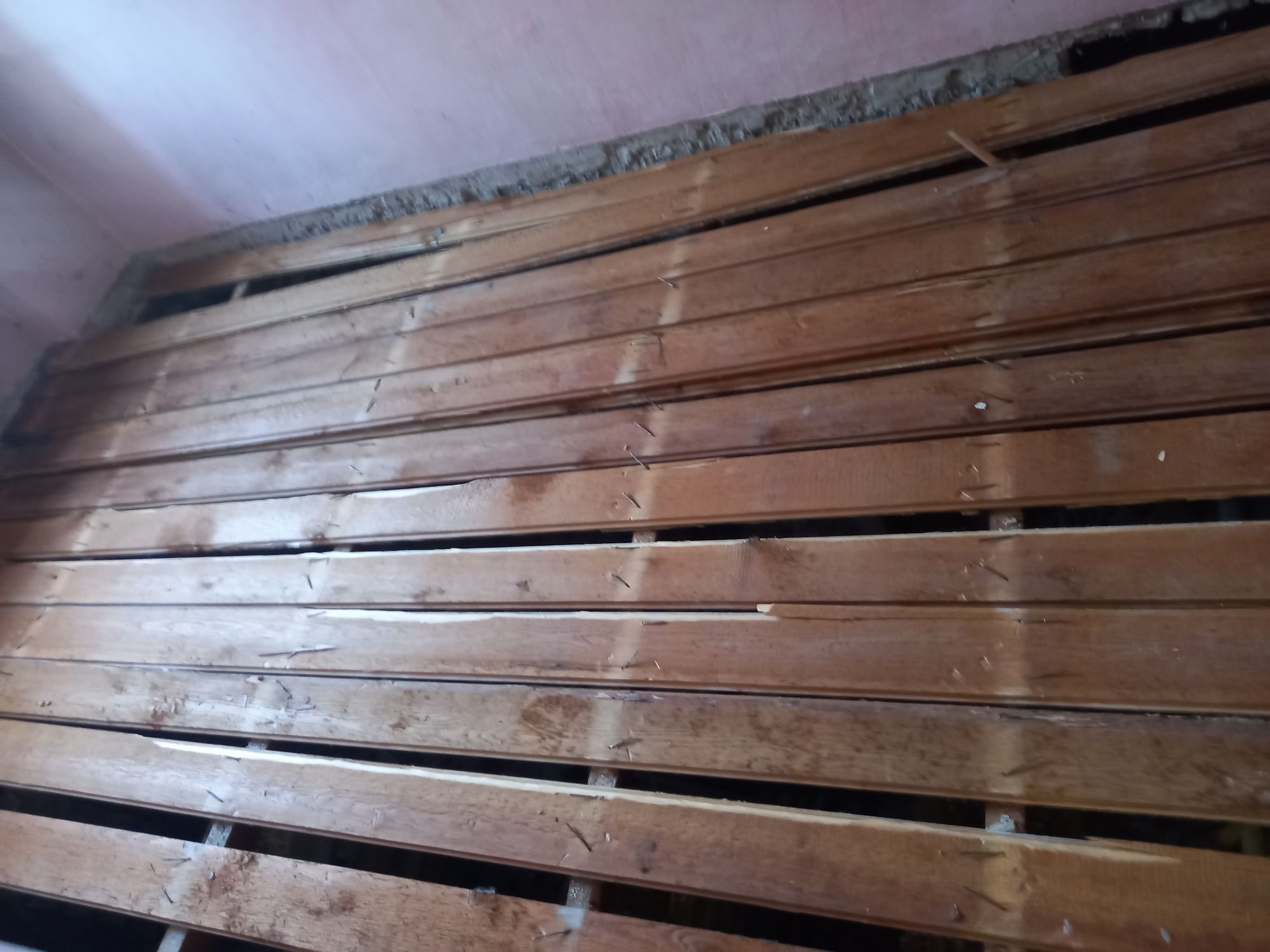 POLLYK AGAÇ ALYAS - Garadamak - img 1