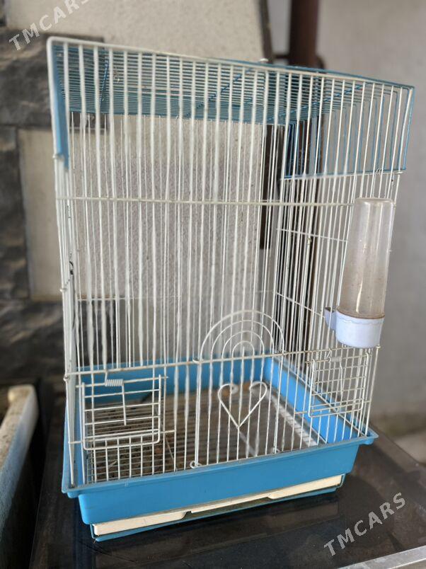 клетка птичья - Ашхабад - img 2