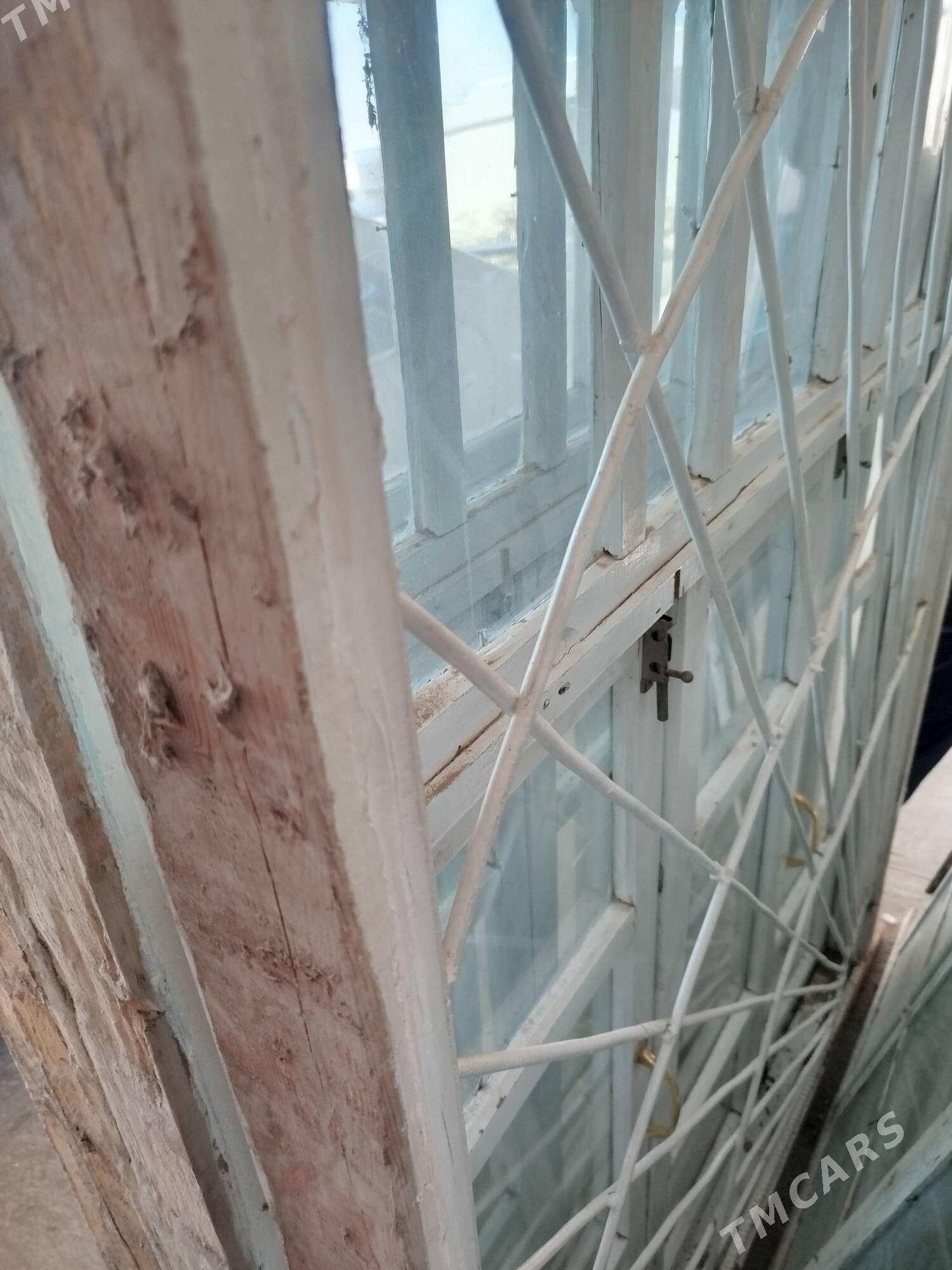 agaç akno - Murgap - img 2