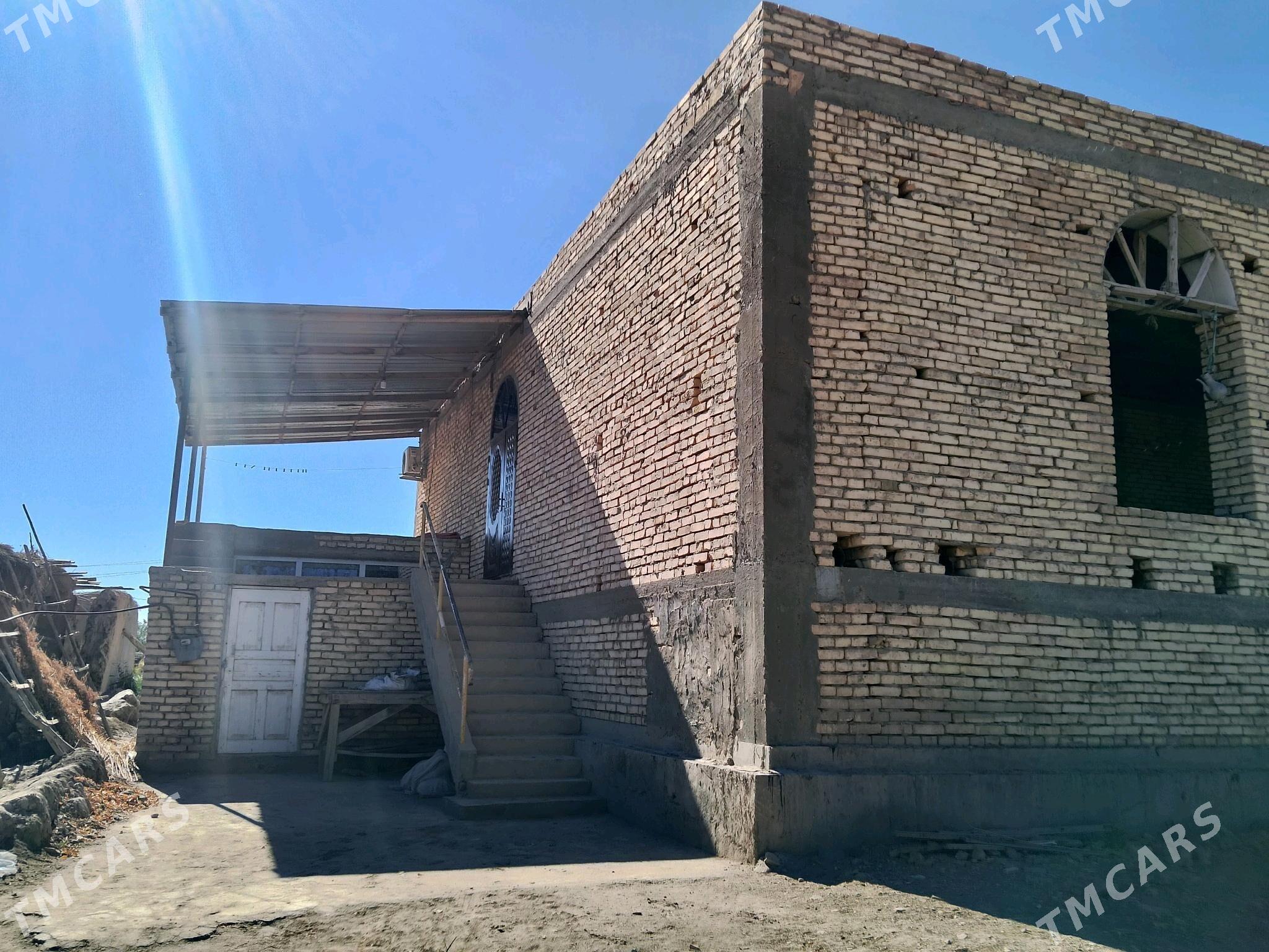 Satlyk jay - Болдумсаз - img 2