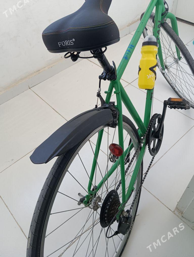 Türkmenistan Tigir - Аркадаг - img 2