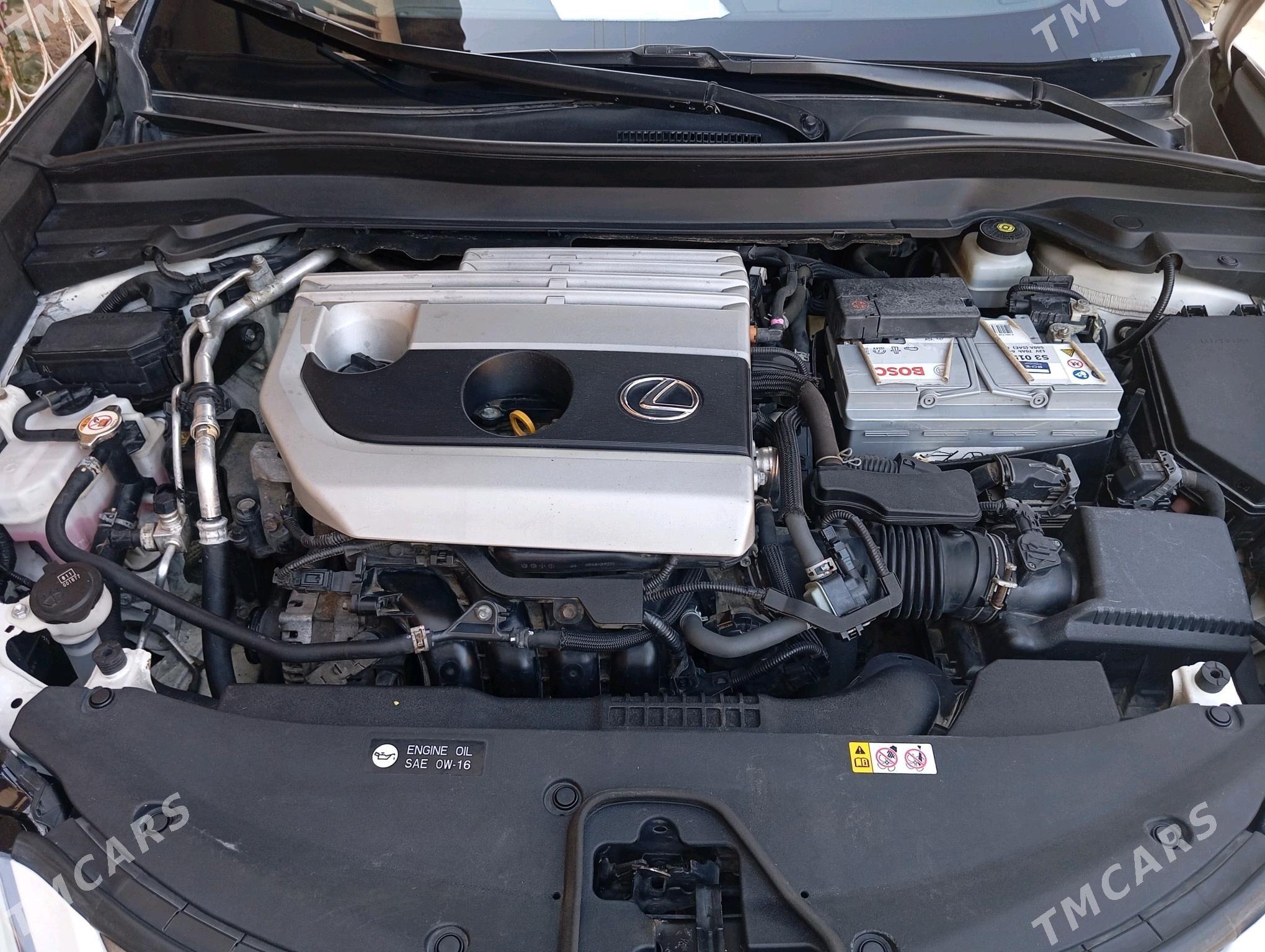Lexus UX 200 2020 - 420 000 TMT - Daşoguz - img 10