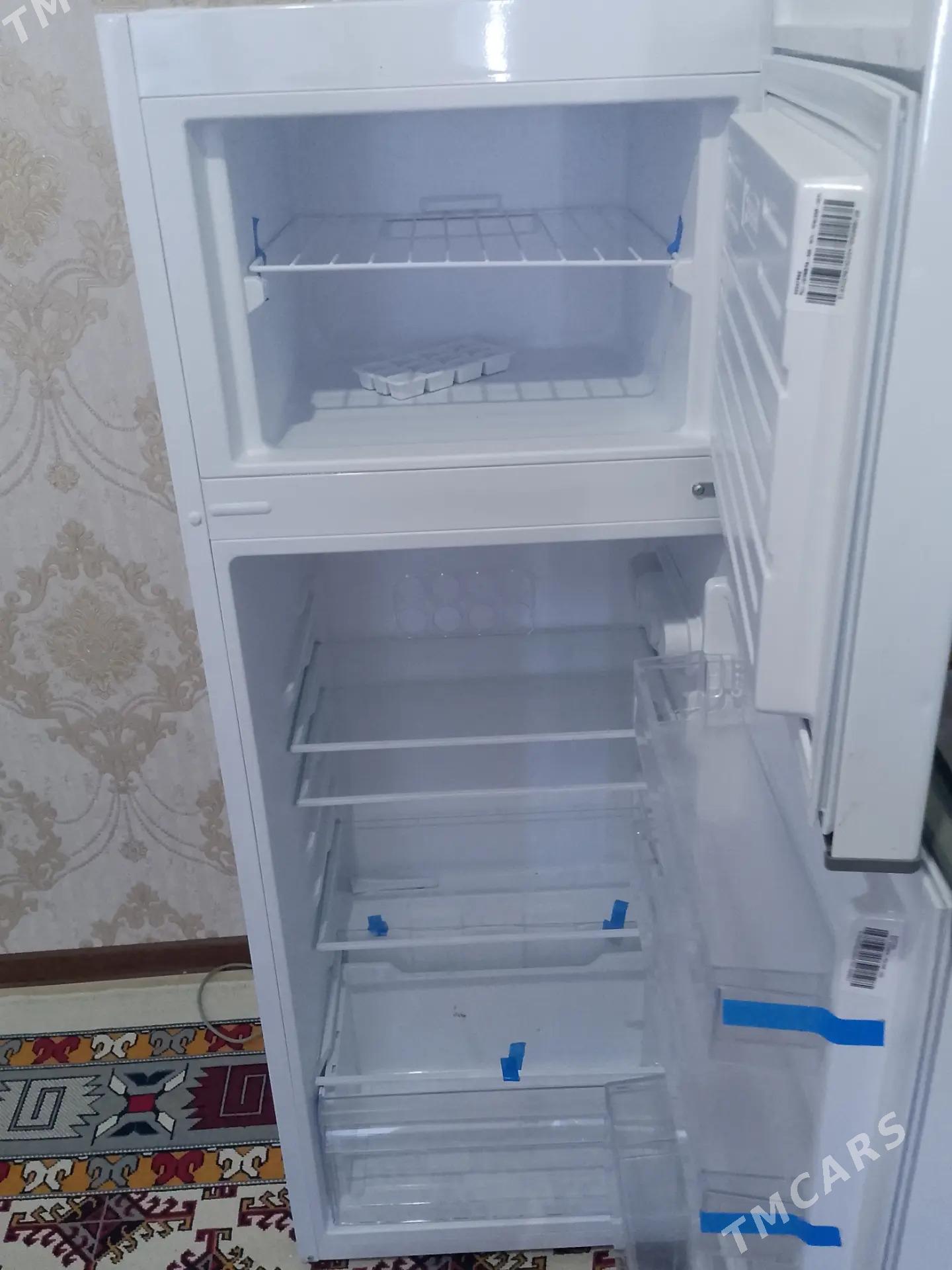 Holodilnik - Tejen - img 3