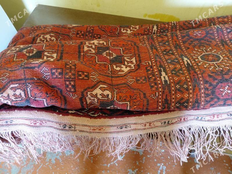 докалан халы теке гол 7. - Gyzylarbat - img 3