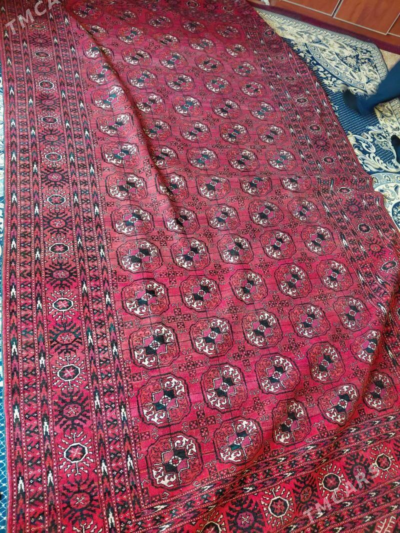 докалан халы теке гол 7. - Gyzylarbat - img 1