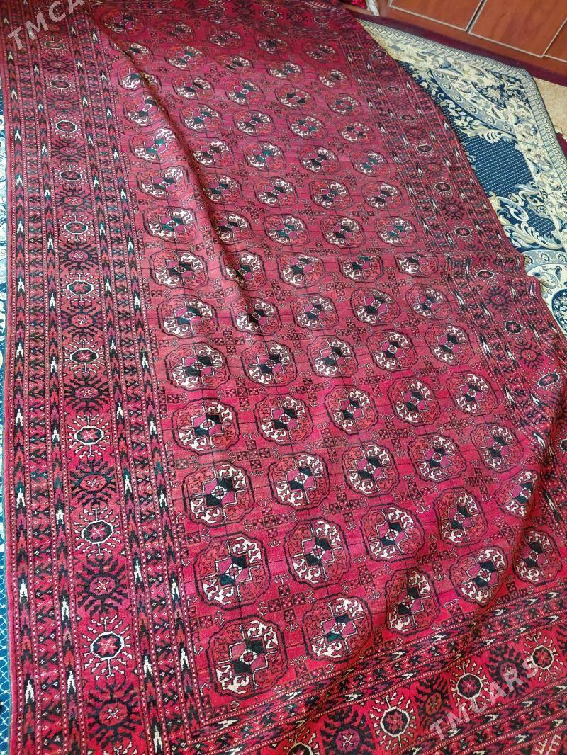 докалан халы теке гол 7. - Gyzylarbat - img 6