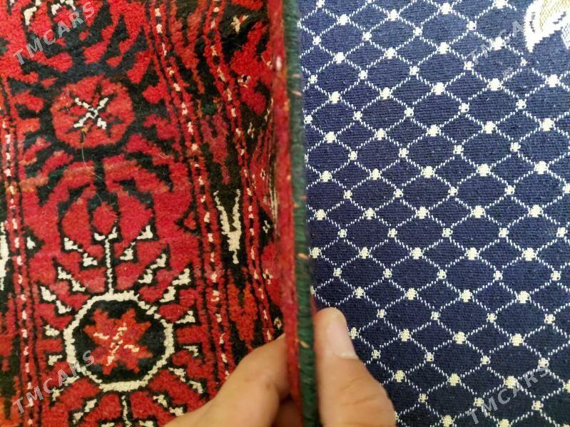 докалан халы теке гол 7. - Gyzylarbat - img 5