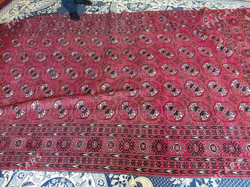 докалан халы теке гол 7. - Gyzylarbat - img 2