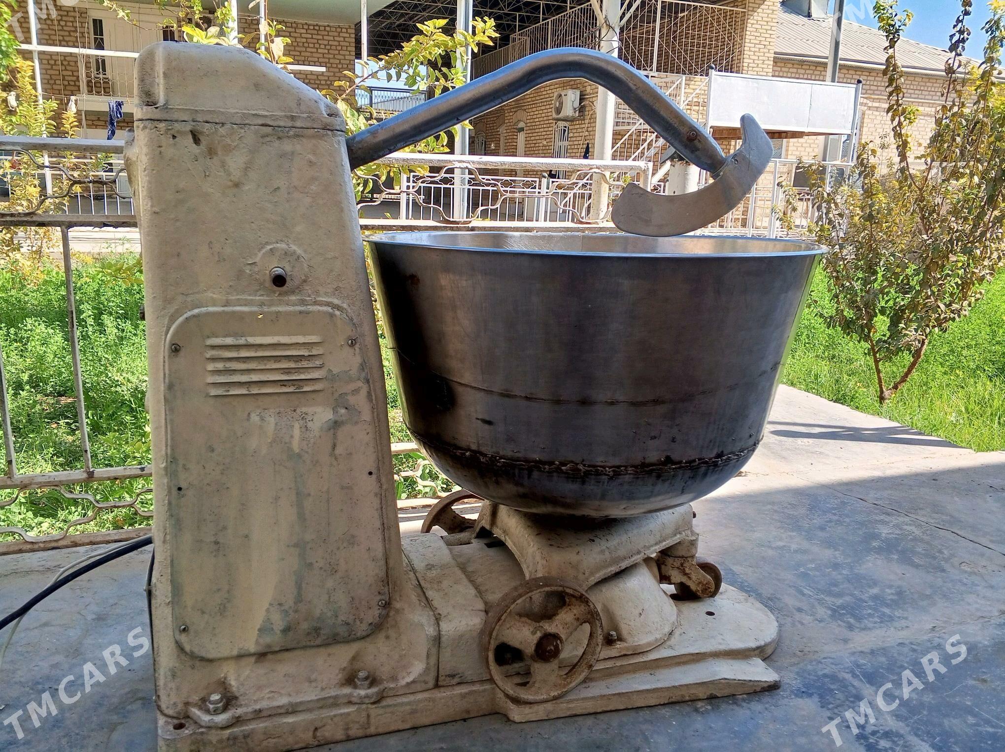 HAMYR MEŞAKLA - Mary - img 2