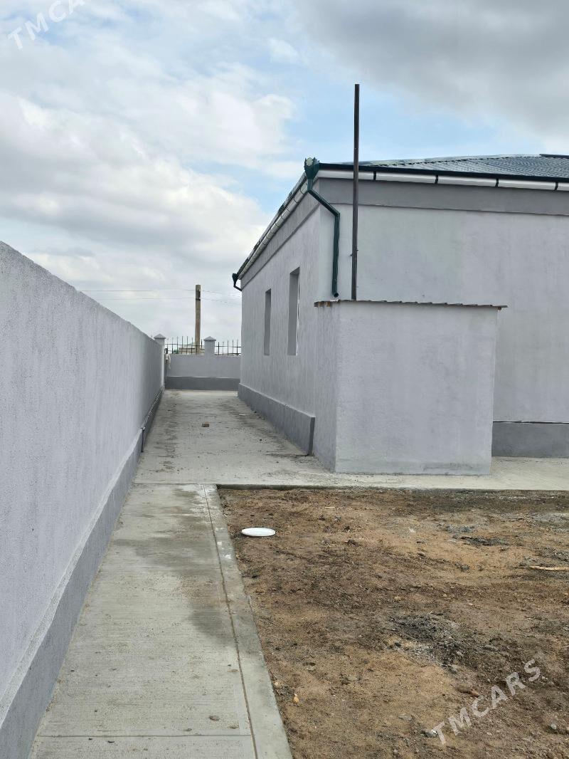 Jay - Гороглы (Тагта) - img 2