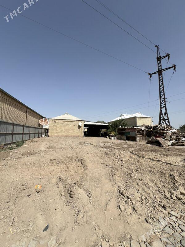 SATLYK JAY  Sallancak kocede - Mary - img 4