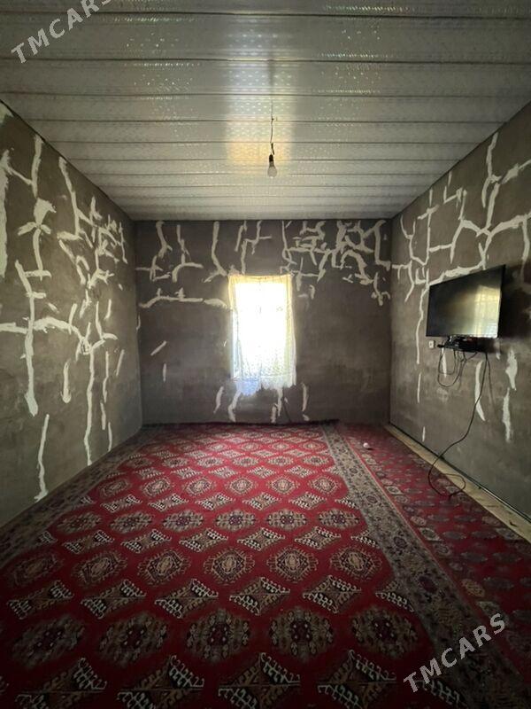 SATLYK JAY  Sallancak kocede - Mary - img 3