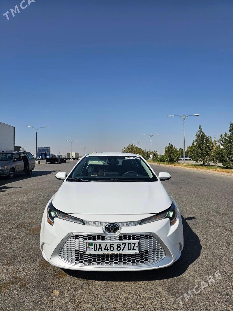 Toyota Corolla 2021 - 250 000 TMT - Daşoguz - img 2