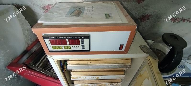 Inkubator/ Инкубатор - Türkmenbaşy - img 3