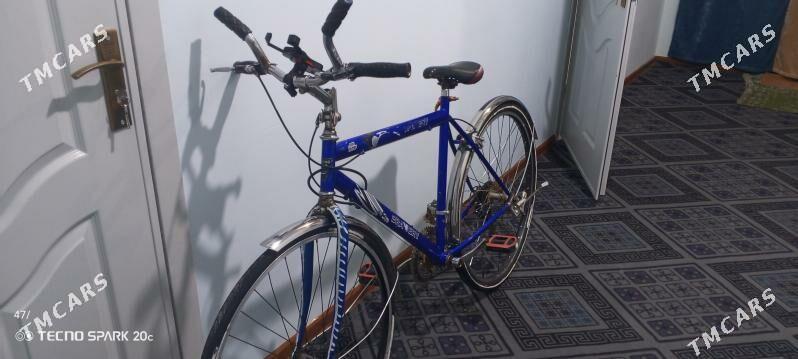 Spartiwni. Tigir - Tejen - img 2