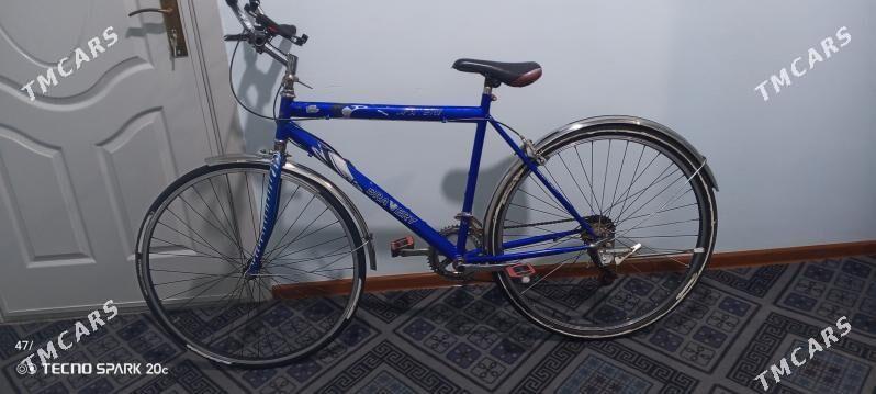 Spartiwni. Tigir - Tejen - img 3