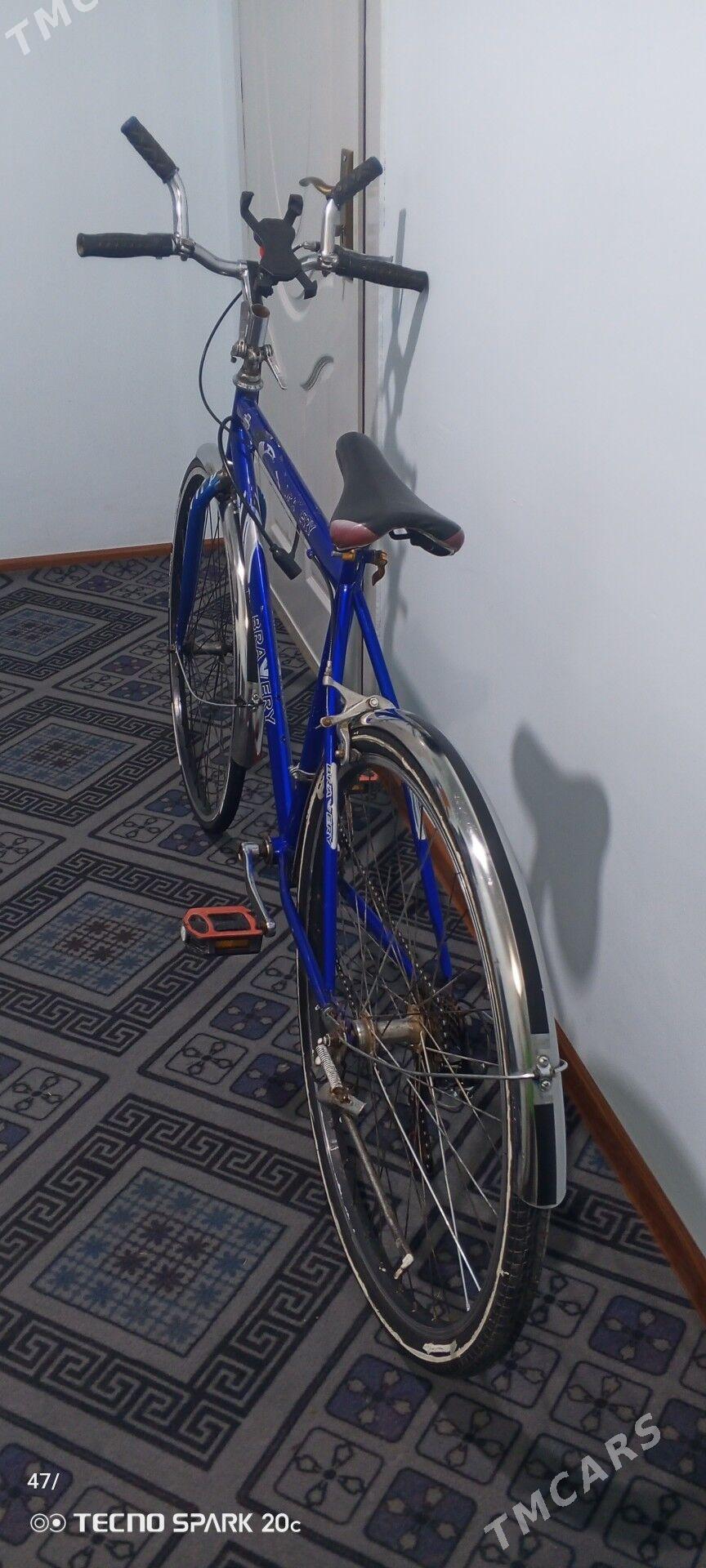 Spartiwni. Tigir - Tejen - img 1