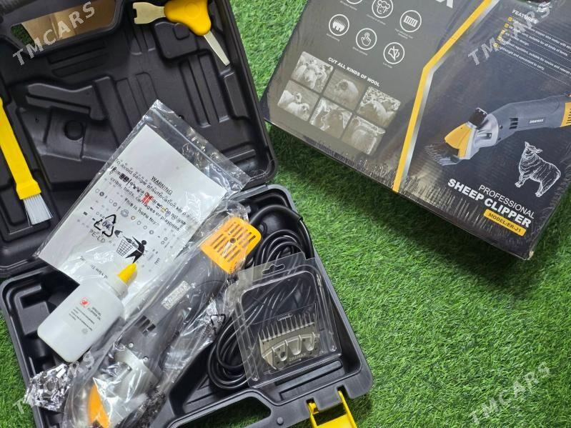 goyun gyrkyan taze - Aşgabat - img 2