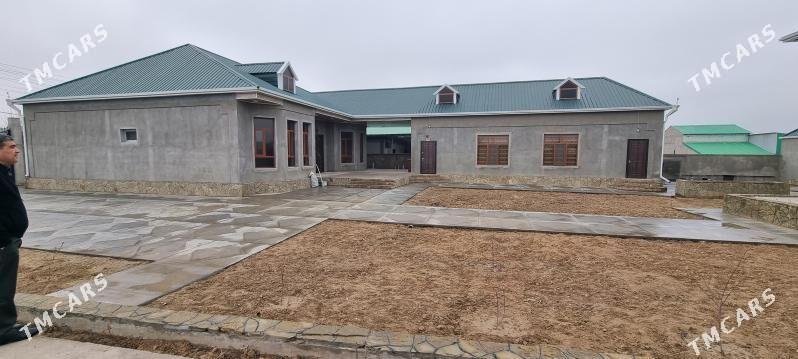 Magtymguly jay - Ak bugdaý etraby - img 3