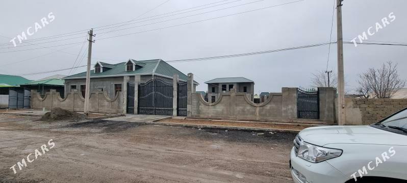 Magtymguly jay - Ak bugdaý etraby - img 4