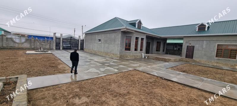 Magtymguly jay - Ak bugdaý etraby - img 2