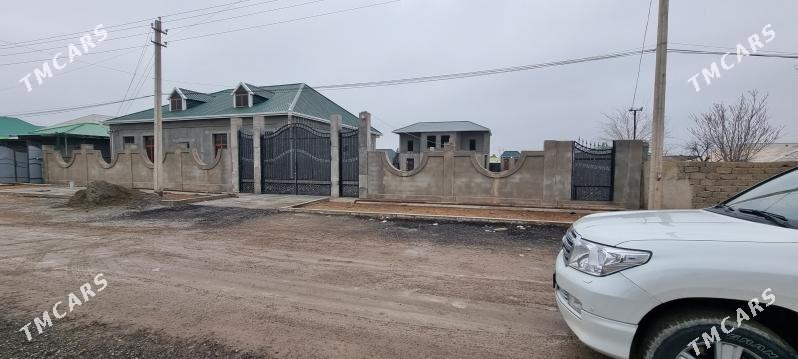 Magtymguly jay - Ak bugdaý etraby - img 1