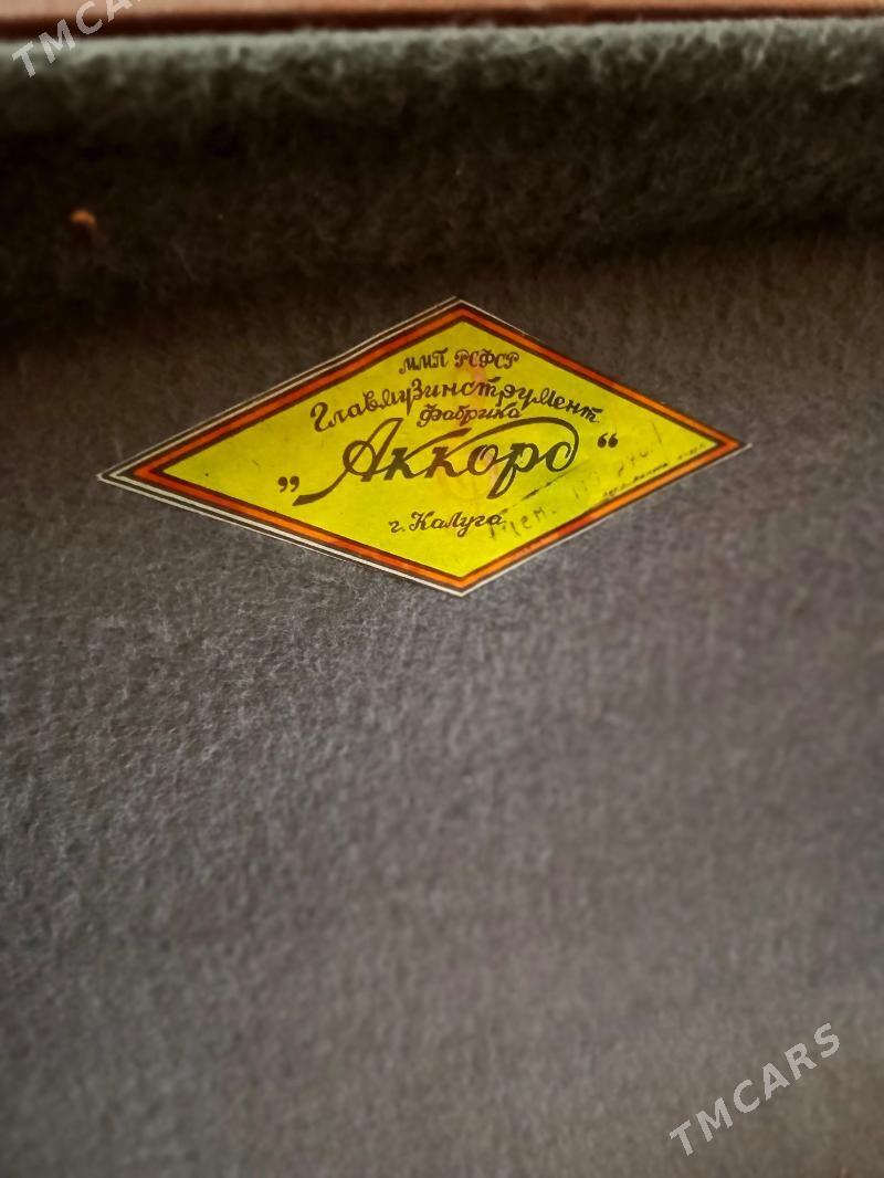 Akardion - Ашхабад - img 3