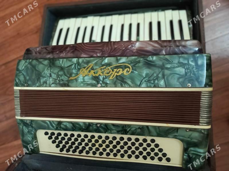 Akardion - Ашхабад - img 2