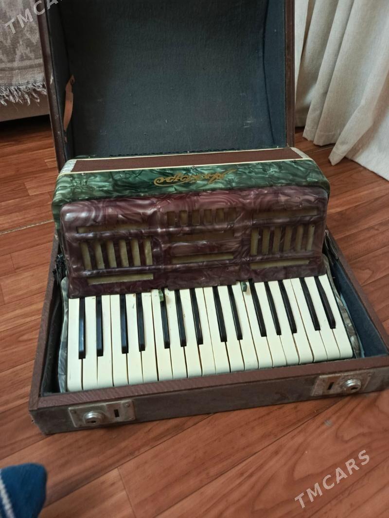 Akardion - Ашхабад - img 5