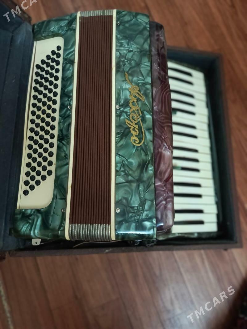 Akardion - Ашхабад - img 7